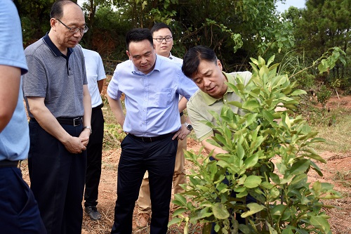 中国信保宋曙光董事长赴江西余干调研扶贫工作